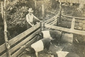 Alison Phillips, 1934, ticket #2013111810012739